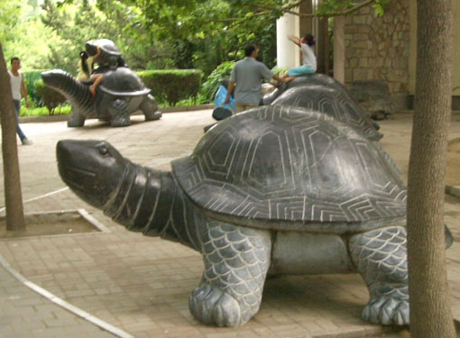 Art@Site www.artatsite.com unkown Tortoise Turtle