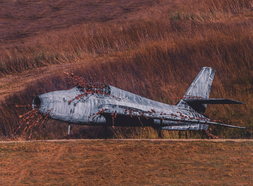 Art@Site www.artatsite.com Anselm Kiefer Poppy and Memory California