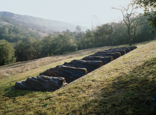 Art@Site www.artatsite.com Ursula von Rydingsvard Iggys Pride California