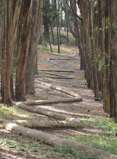 San Francisco Art@Site www.artatsite.com Andy Goldsworthy Wood Line